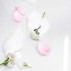 Arındırıcı Cilt Temizleme Köpüğü