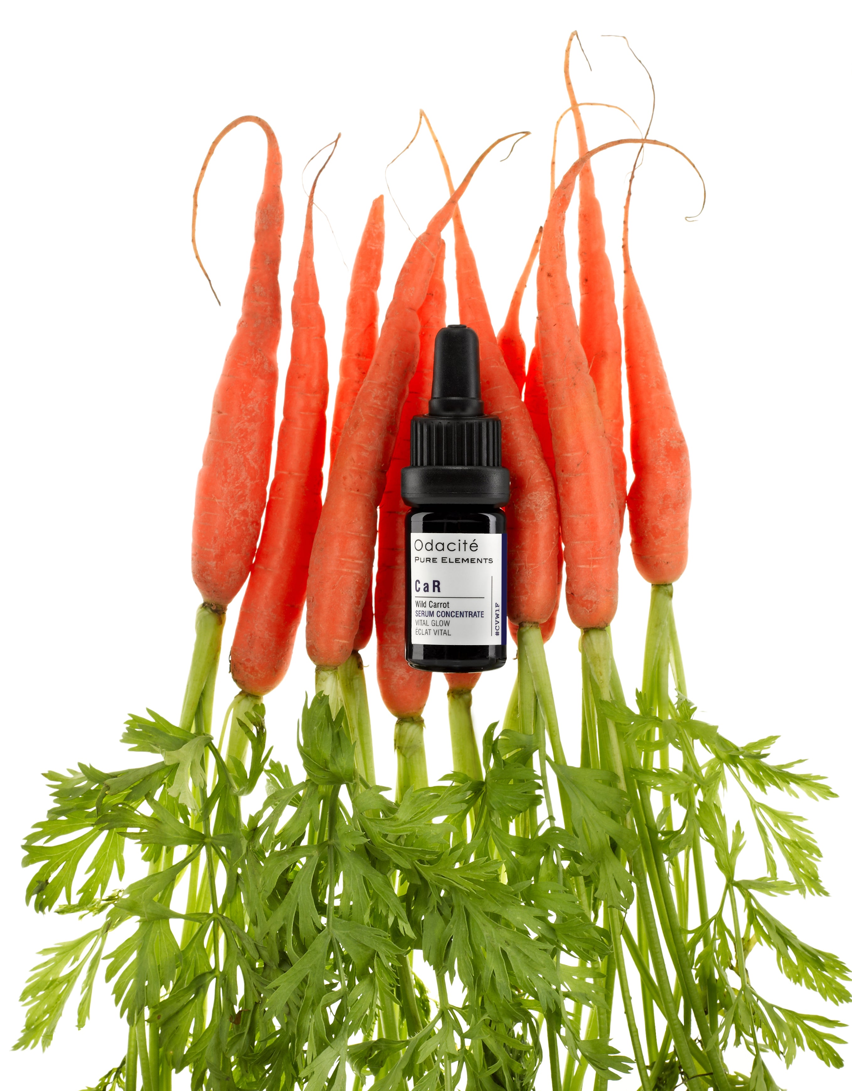 CaR (Yabani Havuç) Vitality Serum Konsantresi, 5ml